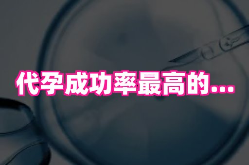 北京助孕网 1