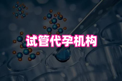 北京助孕网 2