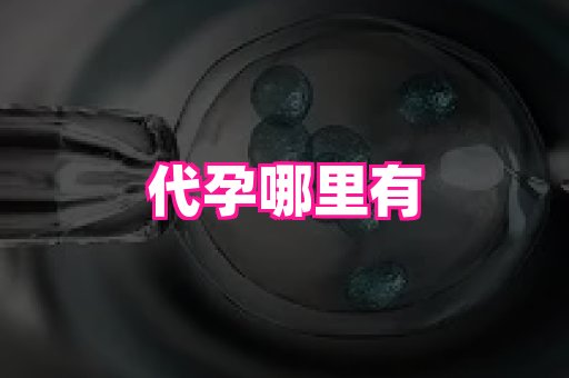 北京助孕网 4